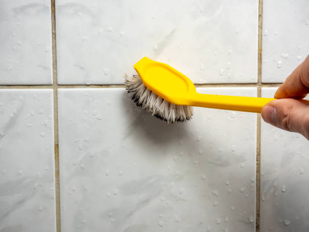 Best Residential Mold Removal  in South Waverly, PA