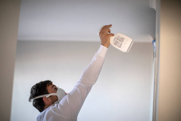 Best Mold Cleaning Services  in South Waverly, PA