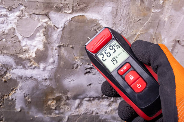 Home Mold Removal in South Waverly, PA