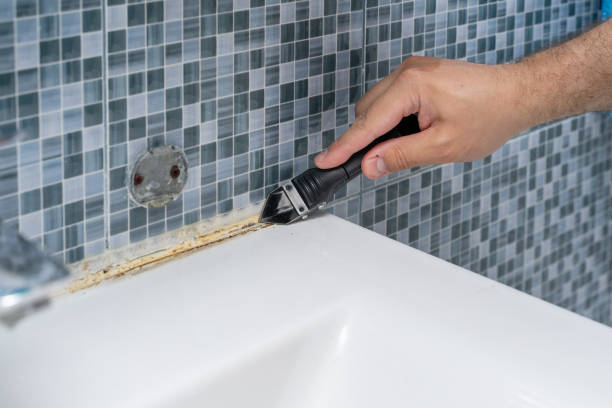Best Mold Remediation Services  in South Waverly, PA