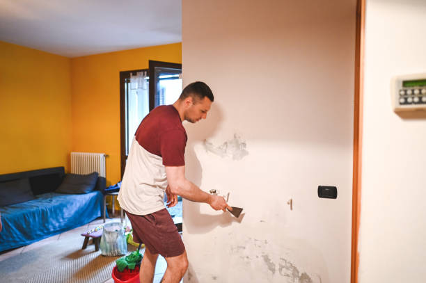 Crawl Space Mold Removal in South Waverly, PA